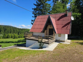Planinski vrh
